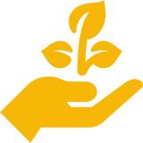 Yellow hand holding a leaf with the letter 'L' on it against a white background